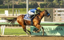 What’s been happening: Kentucky Derby preps with Citizen Bull, top jockey strikes rival mid-race, Romantic Warrior and more …