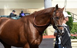 Now Baffert and Smith become the hunters