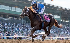 Why breeders just love Breeders’ Cup Dirt Mile hero Tamarkuz