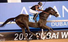 Dubai Carnival 2023 kicks off with stakes-laden card at Meydan