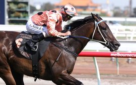 Farewell to the ‘Wonder from Down Under’: Australia mourns Black Caviar