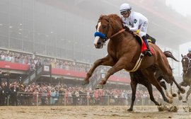 TRC Preakness article wins another award for Bob Ehalt