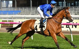 Hartnell gets Melbourne Cup go ahead after impressive gallop