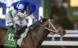 Saudi Cup entries: world’s richest race attracts 28 G1 winners