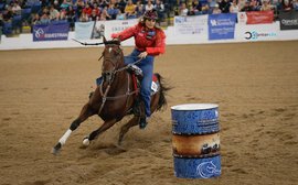 From fifth in a Portland Meadows claimer to champion in something completely different - in just ten months