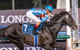 World #1 Equinox back in star-studded clash as Breeders’ Cup Challenge hits Japan