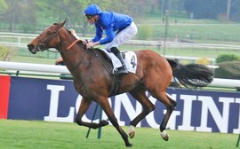Can Persian King start off a French fightback?