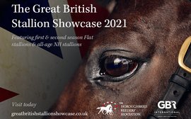 Great British Stallion Showcase launches online