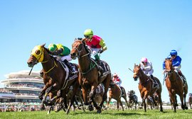 What’s been happening: Melbourne Cup shocker, stud fees for City Of Troy, Auguste Rodin, Sea The Stars, National Treasure and more …