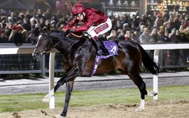 Kitten s Joy Thoroughbred Racing Commentary