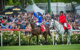 Winx’s Cox Plate: cherish and respect this utterly special moment