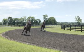 The joy and heartbreak in the behind-the-scenes life of a ‘farm trainer’