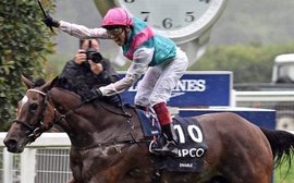 Look how far ahead Enable is in the race to be Cartier Horse of the Year