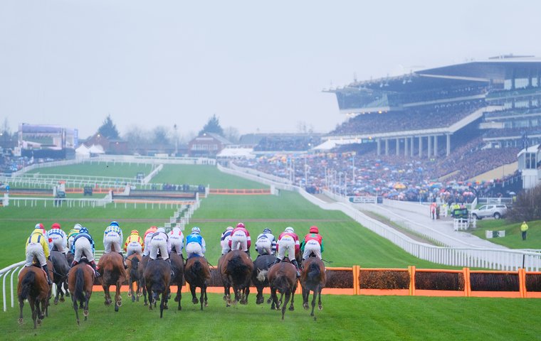 The Most Ferocious Four Days In Racing Are Upon Us A View From America Topics Cheltenham Festival Thoroughbred Racing Commentary
