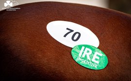 ‘It’s the perfect thing for an owner’ – IRE Incentive scheme enters fifth year with more than €5m paid out in bonuses
