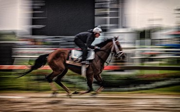 What’s been happening: Preakness latest, $62,000 Kentucky Derby fine, French Classic controversy, Rachael Blackmore retires and more …