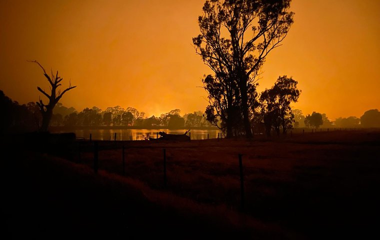 Victoria burning – looking back at January’s bushfires