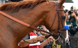 Horse of the Year reader poll result: it’s a landslide for Justify
