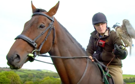 Video: watch this one-eyed G2 winner in his new life with the birds