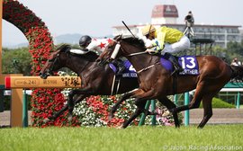 Breeders’ Cup: the international picture after Royal Ascot