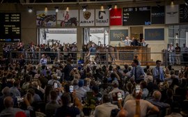 Emotions run high as Winx’s only foal is sold to part-owner Debbie Kepitis at world record price of A$10m