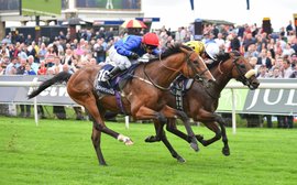 Wells Farhh Go to return in Betfred Dante Stakes