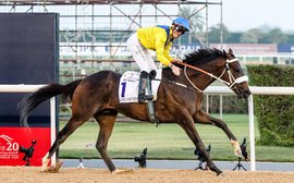 Mubtaahij set for Meydan prep ahead of Dubai World Cup bid