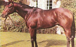 Habitat: can any European broodmare sire be called his superior?