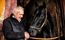 A special day to celebrate ‘a horse of a lifetime’