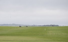 Brian Kavanagh: Returning to the magical place that is the Curragh