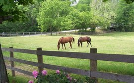 Ohio HBPA donates $50,000 to support New Vocations aftercare efforts