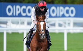 ‘He is a very special horse’ – staying phenomenon Kyprios claims #1 spot on world rankings