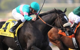 From Zenyatta to Black Caviar to mission impossible in Minnesota: a deliciously entertaining racing journey