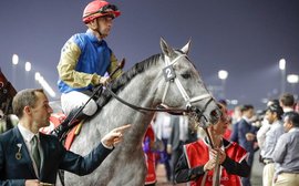‘Forever Young was nowhere near his peak behind Hit Show’ – reflections on a Dubai card full of shock results