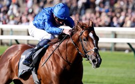 Shadow Of Light is Europe’s champion two-year-old for 2024 – plus some names to note in 2025