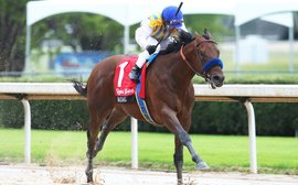 Kentucky Derby Prep School: Can Baffert’s young stars take this major next step?