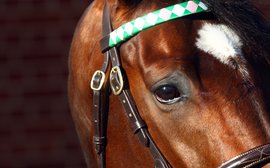 How Frankel overcame the burden of expectation to become world #1 sire – Nancy Sexton appreciation