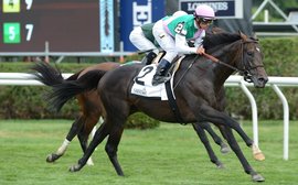 Why Flintshire has the potential to leave a lasting legacy on American racing