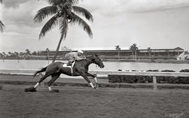 Racing history through a lens: Raftery archive gifted to Keeneland Library by Barbara Livingston