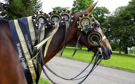 A life after racing: Master Wickham’s journey from zero to hero