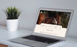 Redesigned website a new gateway to Irish racing and breeding
