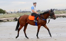 Horse of the Year Melody Belle out to give rising star Richards another moment to remember