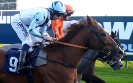 ‘He didn’t have a clue about anything’ – the story of Crowd Quake, the winningmost horse in Britain in 2025