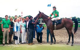 Sister Dot: the Secretariat mare who outdid herself by producing a champion