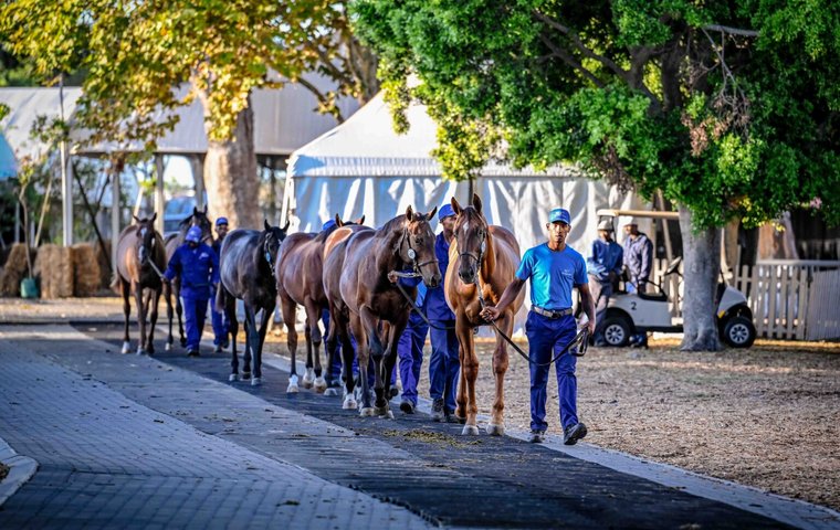 Sale Preview: Race Coast Sales Premier Yearling Sale