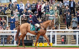 A life after racing: Jockey Club completes full set of ‘horses for courses’ equine ambassadors