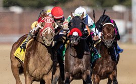 Elbow room please: what’s it like to shoot an Eclipse Award-winning photo?