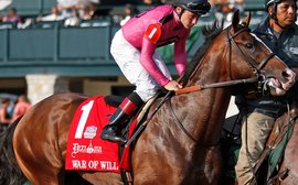 Kentucky Derby Prep School: the key point about War Of Will is his turf foundation