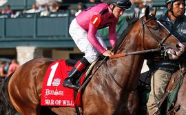 Kentucky Derby Prep School: the key point about War Of Will is his turf foundation