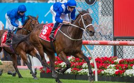 TRC Global Horse Rankings: the Winx vs Enable era